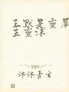 王默是灵犀阁公主灵沫