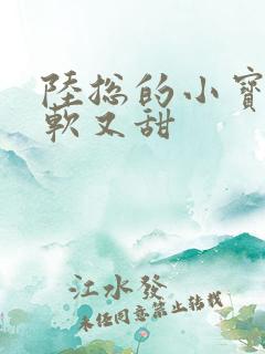 陆总的小宝贝又软又甜