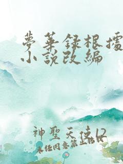 梦华录根据什么小说改编