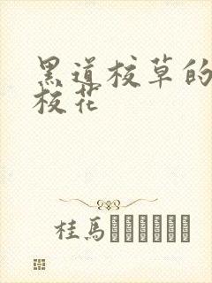 黑道校草的黑道校花