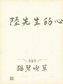 陆先生的心上人