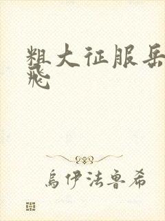 粗大征服岳女双飞