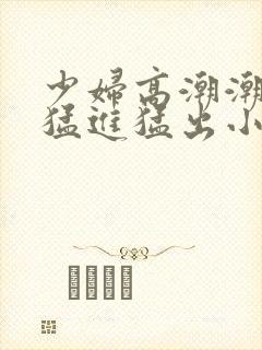 少妇高潮潮喷到猛进猛出小说