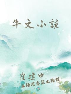 牛文小说