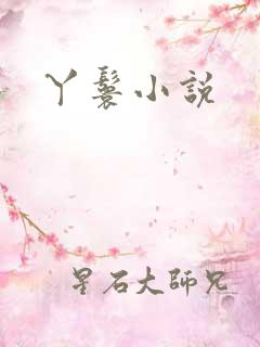 丫鬟小说