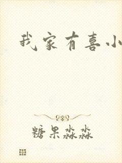 我家有喜小说