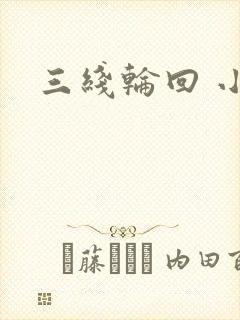 三线轮回 小说
