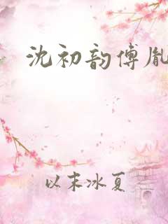 沈初韵傅胤小说