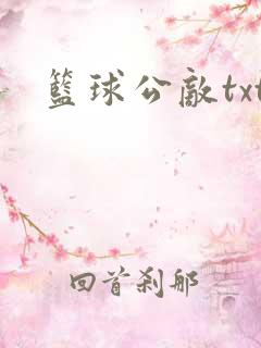 篮球公敌txt