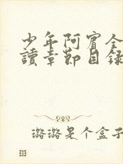 少年阿宾全文阅读章节目录