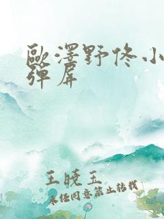 欧泽野佟小曼无弹屏