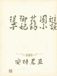 从御花园进入太子妃的小说