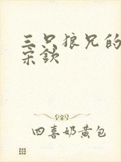 三只狼兄的宠妻宋钦