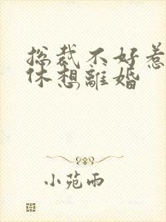 总裁不好惹女人休想离婚