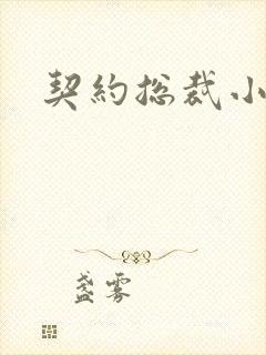 契约总裁小萌宝