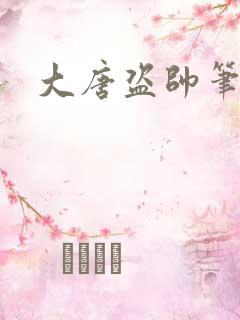大唐盗帅笔趣阁