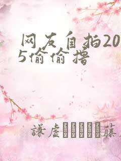 网友自拍2015偷偷撸