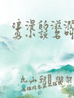 浪漫的滋润刘大勇小说名叫什么?