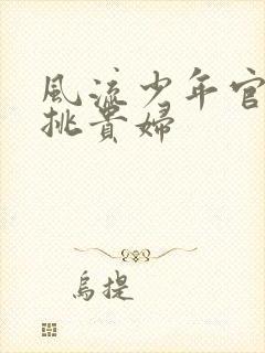 风流少年官途情挑贵妇