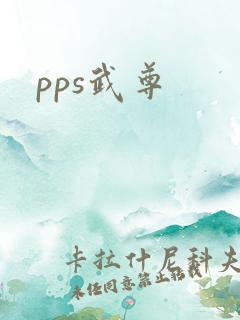 pps武尊