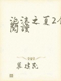 泡沫之夏2全文阅读