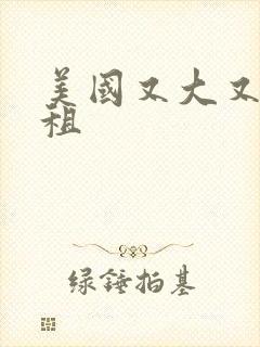 美国又大又长又租