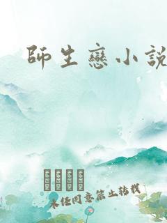 师生恋小说