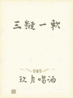 三糙一软