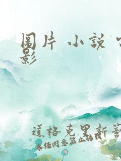 图片 小说 电影