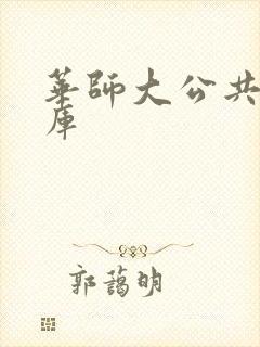 华师大公共数据库