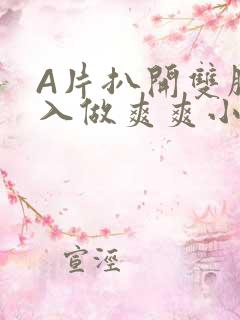 A片扒开双腿进入做爽爽小说