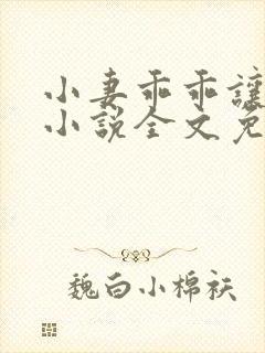 小妻乖乖让我宠小说全文免费阅读