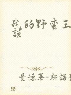 我的野蛮王妃小说