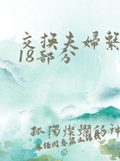 交换夫妇系列第18部分