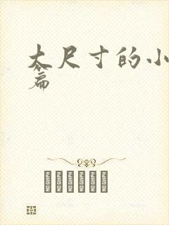 大尺寸的小说短篇