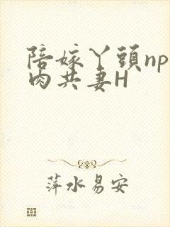 陪嫁丫头np全肉共妻H
