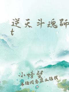 逆天斗魂师txt