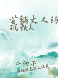 首辅大人的花式调教h