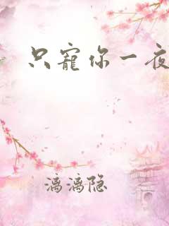 只宠你一夜