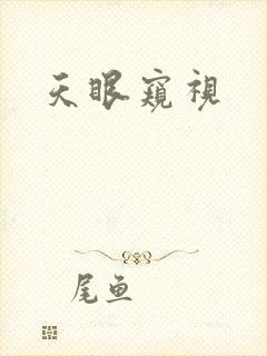 天眼窥视