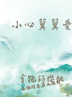 小心翼翼爱上你