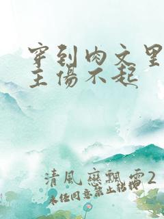 穿到肉文里的女主伤不起