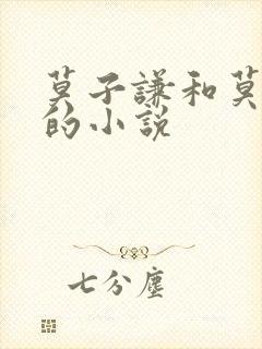 莫子谦和莫弯弯的小说