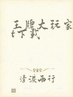 王牌大玩家txt下载