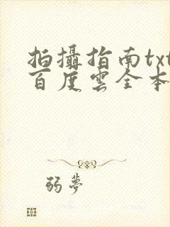 拍摄指南txt百度云全本