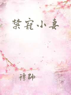 禁宠小妻