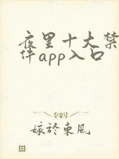 夜里十大禁用软件app入口