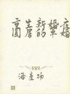 重生新婚夜正在圆房的军婚小说