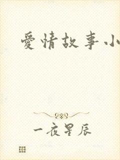 爱情故事小说