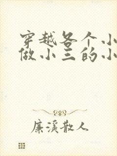 穿越各个小世界做小三的小说